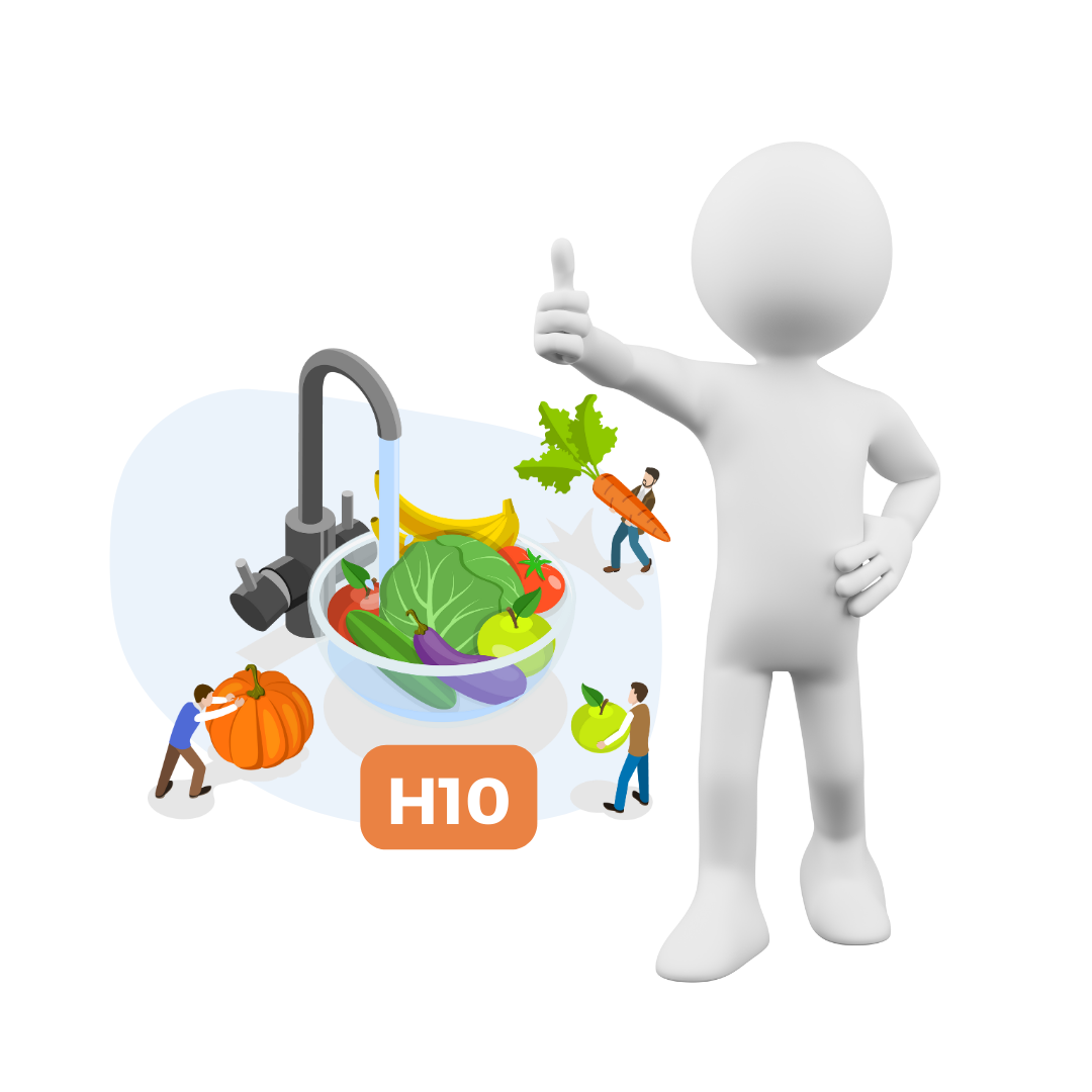 H10 – Higienos pažymėjimas. Tiesiogiai maistą tvarkantiems darbuotojams